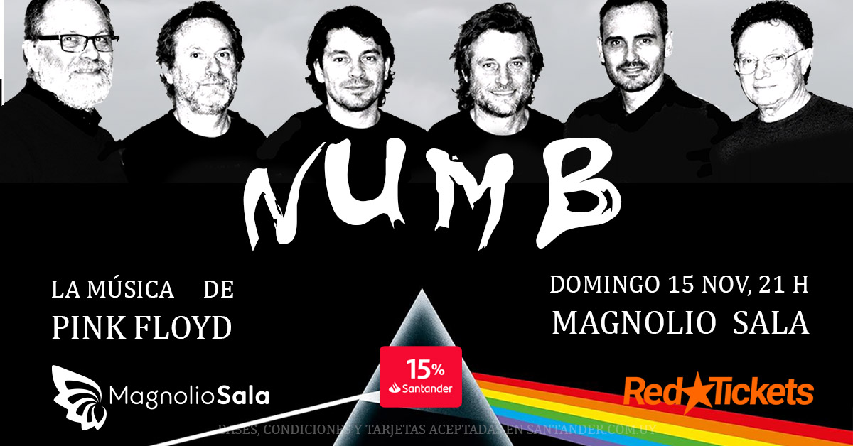 NUMB - La música de PINK FLOYD en Magnolio Sala